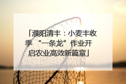 濮阳清丰：小麦丰收季 “一条龙”作业开启农业高效新篇章